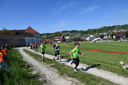 Uspešno izveden 36. Mekinjski kros  (4)